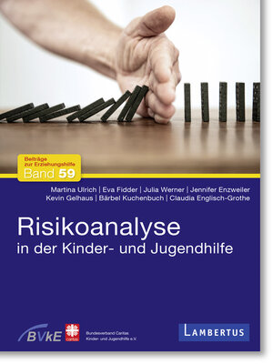 cover image of Risikoanalyse in der Kinder- und Jugendhilfe